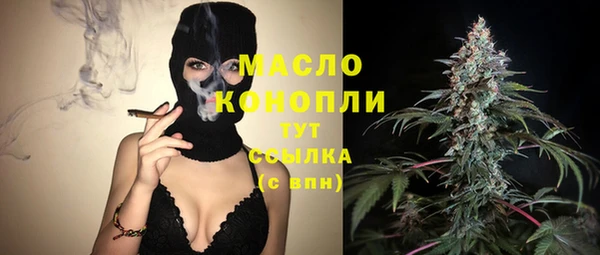 винт Абаза