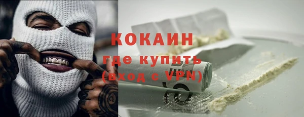 винт Абаза