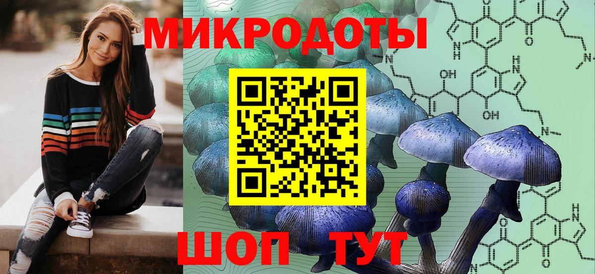 Владикавказ  Галлюциногенные грибы мицелий  Вход с VPN  купить  цена  Псилоцибиновые грибы Psilocybe 