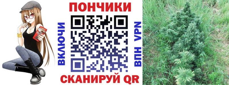 Конопля конопля  блэк спрут   Владикавказ 